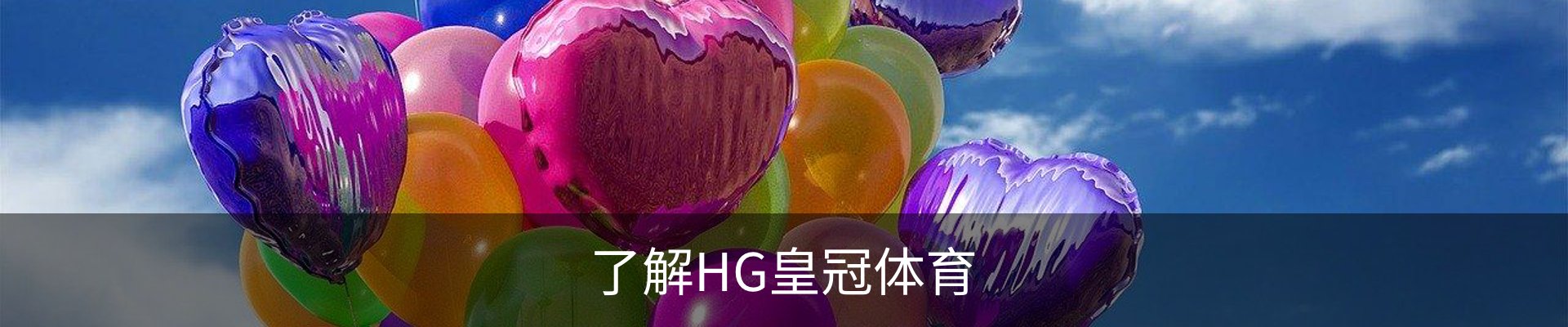 了解HG皇冠体育